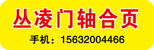 丛凌门轴合页