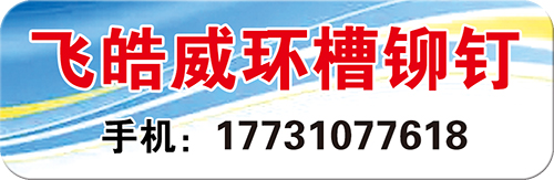 飞皓威环槽铆钉